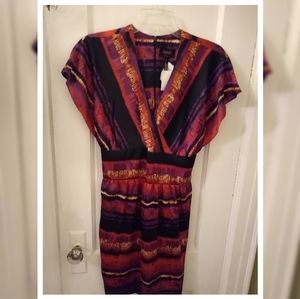 NWT Multicolor dress with stripes and cute sleeves